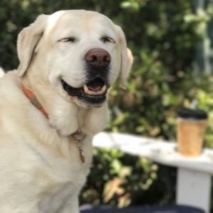 Meet your Posher, Pam